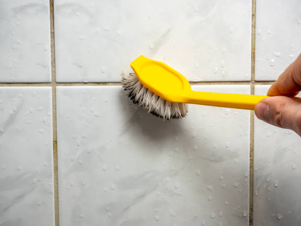 Best Mold Removal Specialists  in Shiner, TX