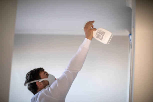Best Professional Mold Removal  in Shiner, TX