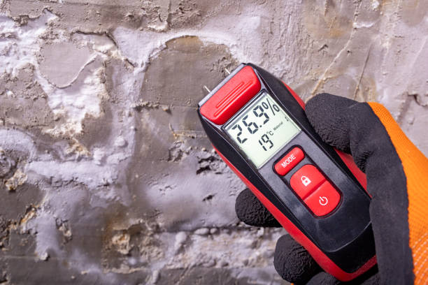 Best Affordable Mold Removal  in Shiner, TX
