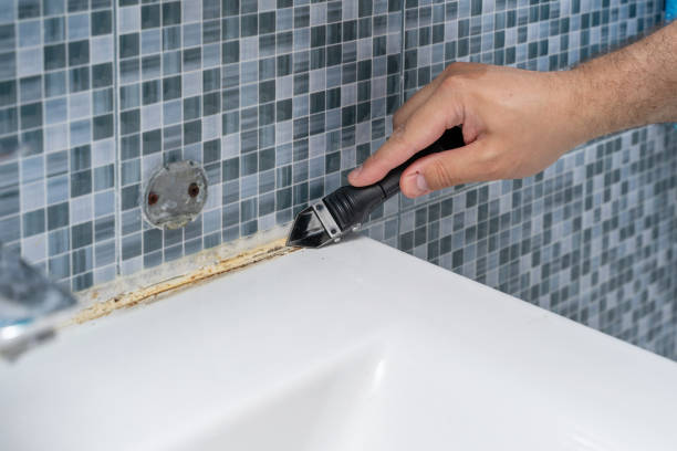 Best Mold Damage Repair  in Shiner, TX