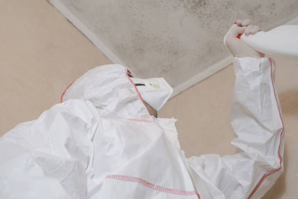 Best Toxic Mold Removal  in Shiner, TX