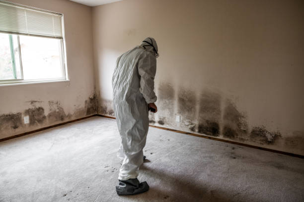 Best Crawl Space Mold Removal  in Shiner, TX