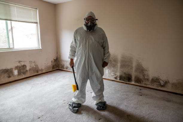 Certified Mold Removal in Shiner, TX