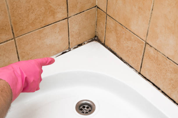 Best Mold Testing  in Shiner, TX